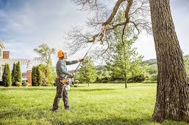 Trusted Brownstown, IN Tree Care Experts
